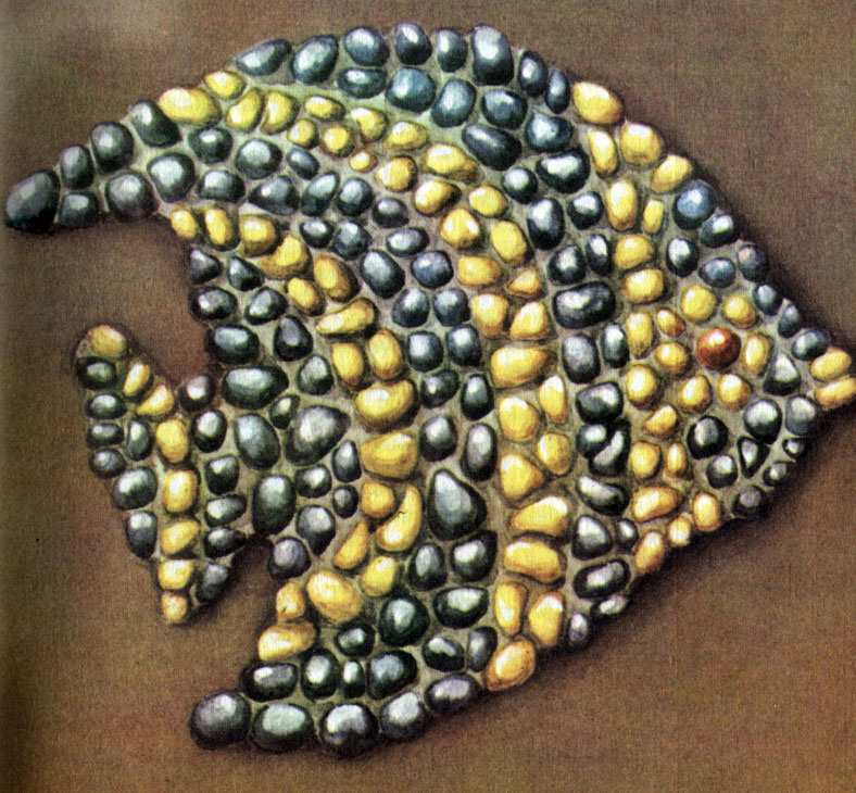 Декоративный мозаичный набор из гальки. 1971 г.